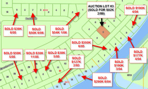 These lots selling for over $50K in 2006!